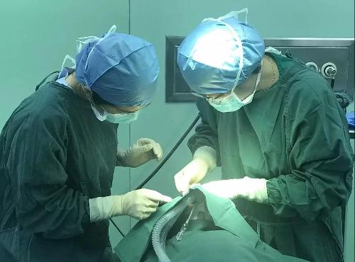 住院-手术-出院，48小时内完成？蜜桃视频
首例日间手术做到了！