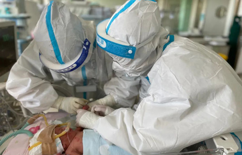 战疫 | 体重不到2千克的小可爱平安了