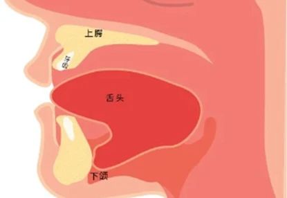 萌萌哒？危害大！儿童不良舌习惯可导致口腔畸形